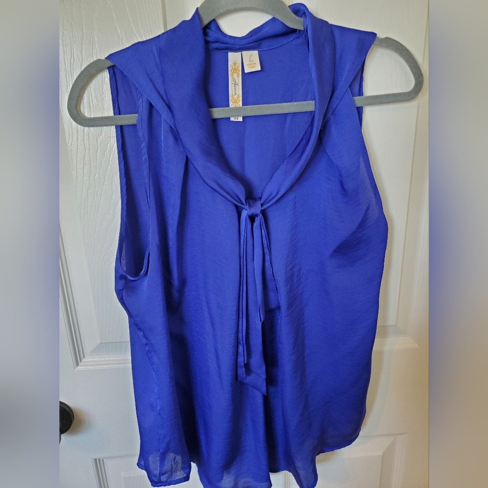 Adiva Royal Blue Sleeveless Blouse